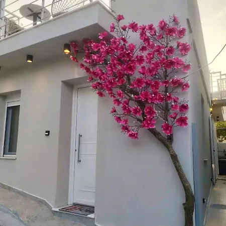 Private Magnolia City-jacuzzi Villa Argostoli (Kefalonia)
